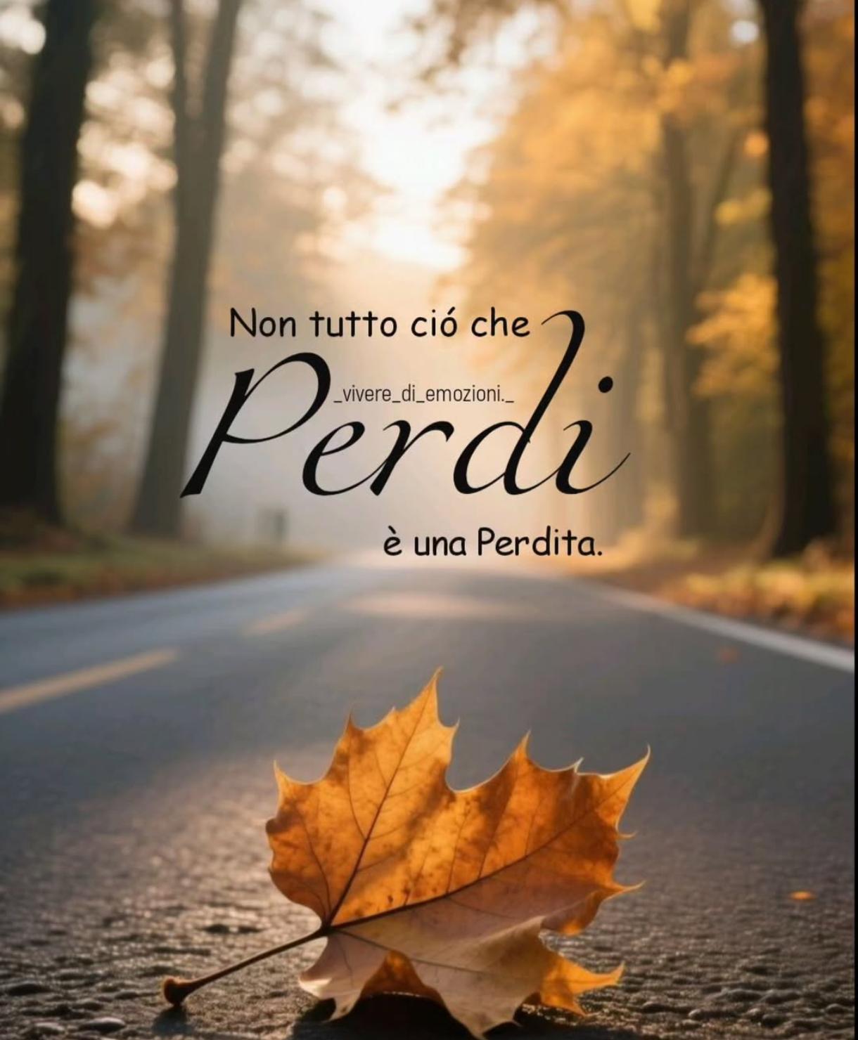 leggi l'articolo qui